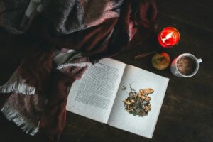 An open mushroom field guide displaying an illustration of fungi rests on a wooden table beside a cozy blanket, a lit red candle, a cinnamon stick, and a warm beverage—evoking a holiday atmosphere.