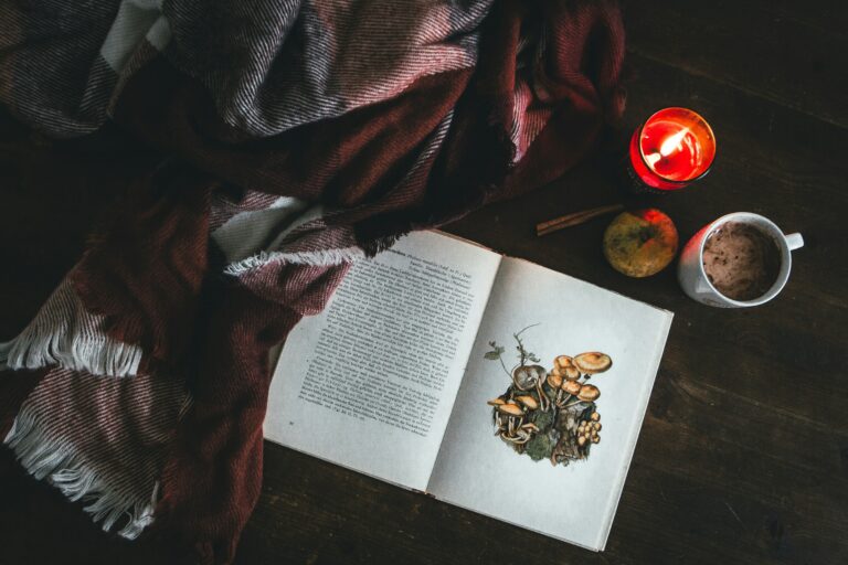 An open mushroom field guide displaying an illustration of fungi rests on a wooden table beside a cozy blanket, a lit red candle, a cinnamon stick, and a warm beverage—evoking a holiday atmosphere.