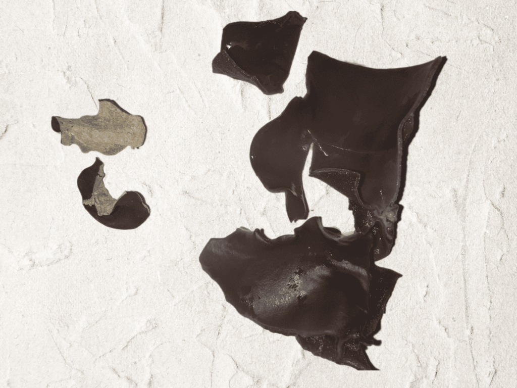 Image of dried black fungus
