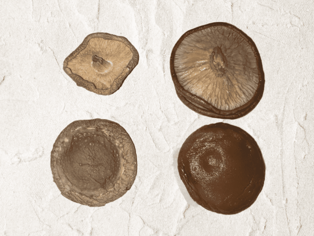 Image of black mushrooms