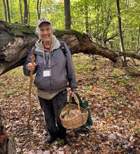 Ron Spinosa searching for mushrooms in the forest.