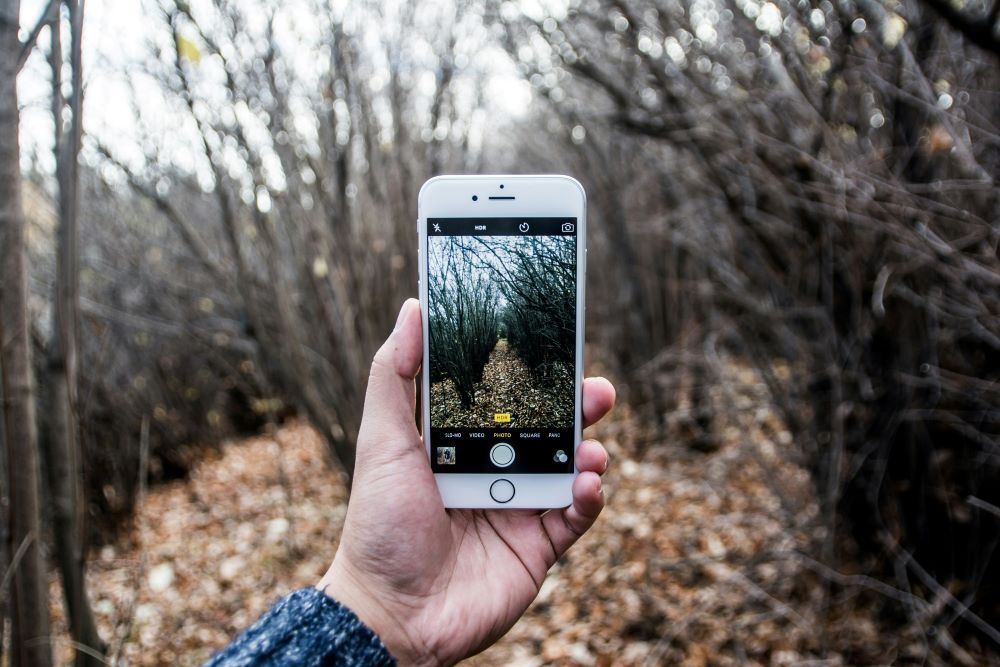 Someone holding a cellphone, taking a picture in the woods. Contact the MMS.