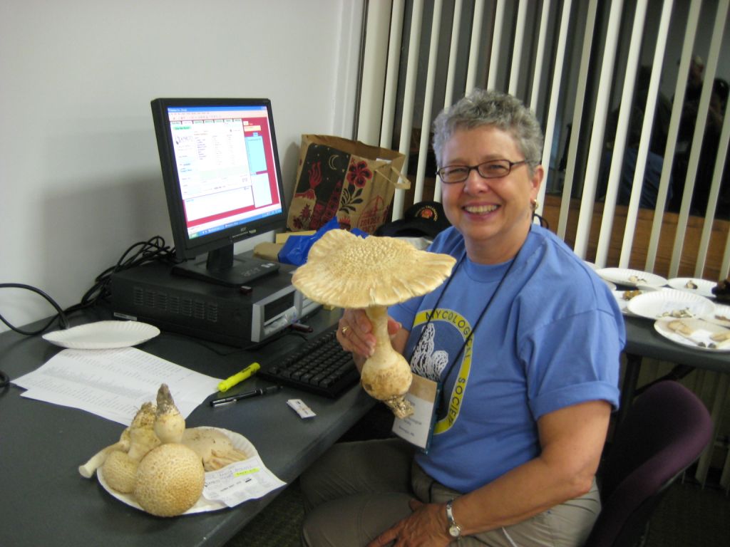 Adele Mheta Vouchering