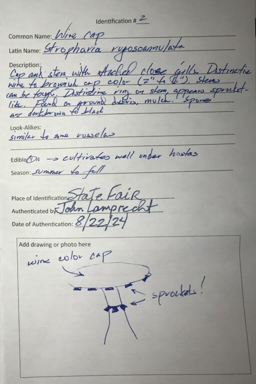 MMS Pasport Page Example