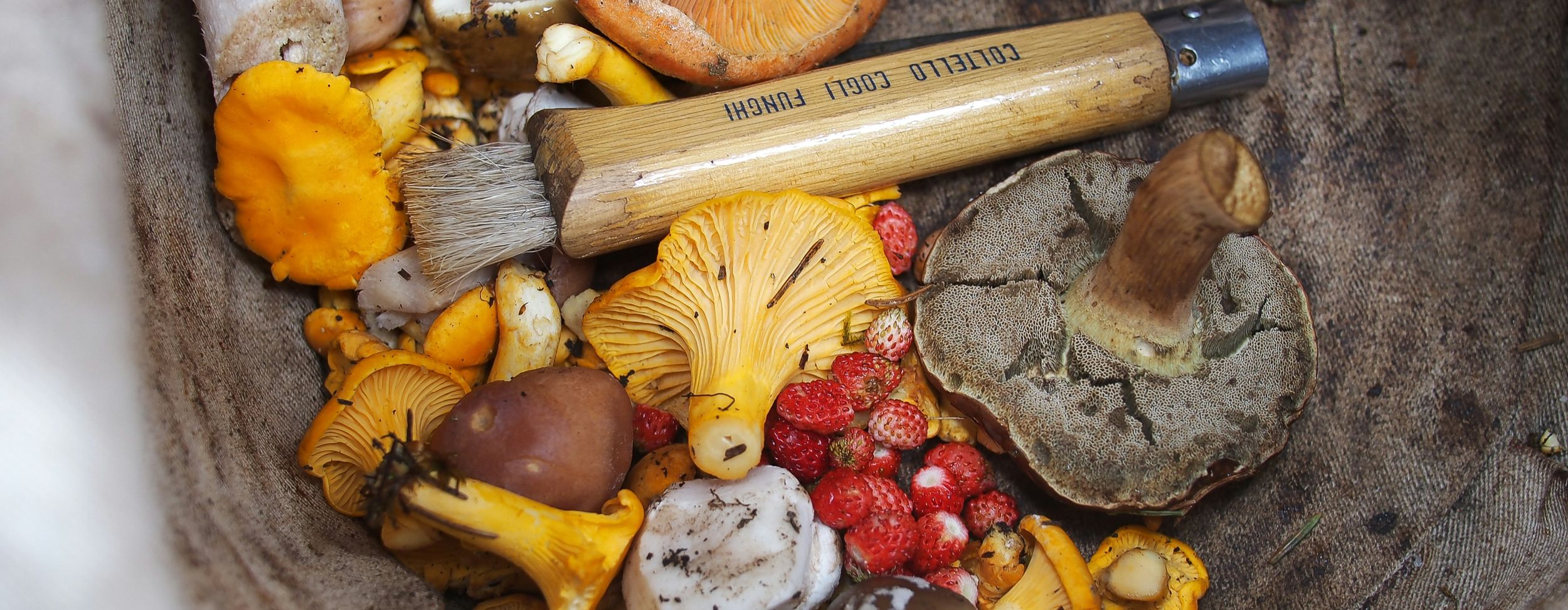 Mushrooms and rasberries in a basket