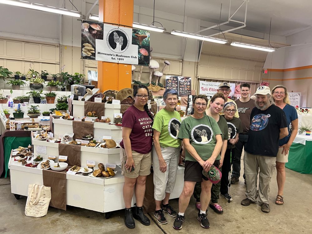 The MMS State Fair Display