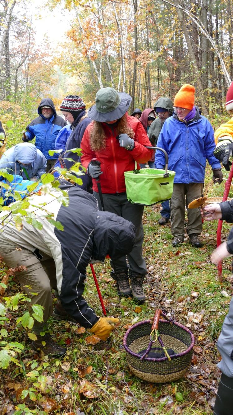 MMS Members on a Foray