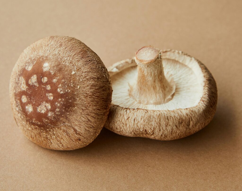 Two fresh shiitake mushrooms (Lentinula edodes) placed on a neutral tan background, one with its textured brown cap facing up and the other turned to reveal its gills and thick central stem.