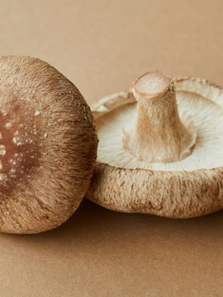 Two fresh shiitake mushrooms (Lentinula edodes) placed on a neutral tan background, one with its textured brown cap facing up and the other turned to reveal its gills and thick central stem.