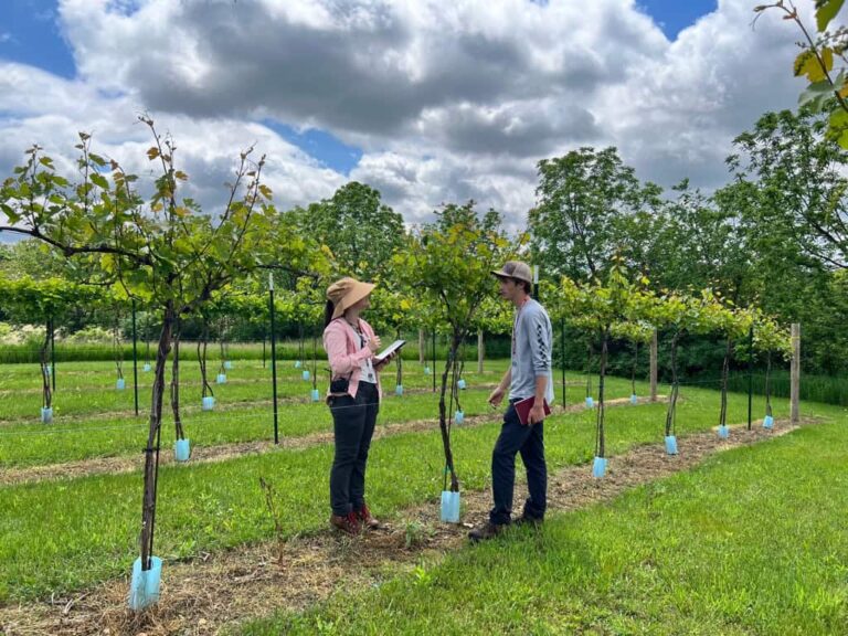 Two people standing in a vineyard under a cloudy sky, examining grapevines. One person holds a clipboard while the other carries a notebook, both engaged in discussion amid rows of young vines